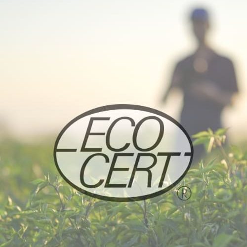 ECOCERT-Certification